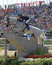 Load image into Gallery viewer, BELLHAVEN KOTO