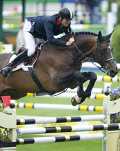 Load image into Gallery viewer, BELLHAVEN KOTO