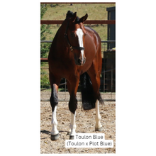 Load image into Gallery viewer, BELLHAVEN CASSINTA'S BOY