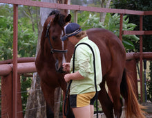 Load image into Gallery viewer, BELLHAVEN CONGO