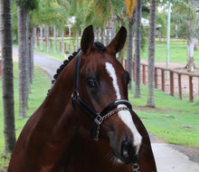 Load image into Gallery viewer, BELLHAVEN DIAMANT