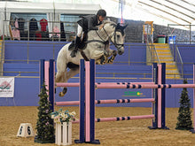 Load image into Gallery viewer, BELLHAVEN BOOM BOOM