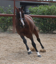 Load image into Gallery viewer, BELLHAVEN DIAMANT