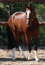 Load image into Gallery viewer, BELLHAVEN TOULON BLUE