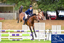 Load image into Gallery viewer, BELLHAVEN SILVERTON