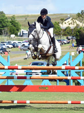 Load image into Gallery viewer, BELLHAVEN CORALDO