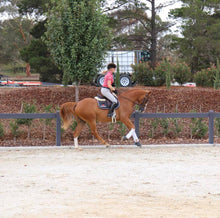 Load image into Gallery viewer, BELLHAVEN PATRIOT