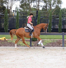 Load image into Gallery viewer, BELLHAVEN PATRIOT