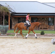 Load image into Gallery viewer, BELLHAVEN PATRIOT