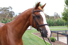 Load image into Gallery viewer, BELLHAVEN PATRIOT