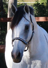 Load image into Gallery viewer, BELLHAVEN NULLARBOR