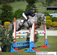 Load image into Gallery viewer, BELLHAVEN SECRET