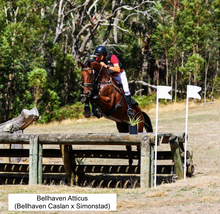 Load image into Gallery viewer, BELLHAVEN CASLAN