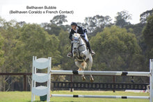 Load image into Gallery viewer, BELLHAVEN CORALDO