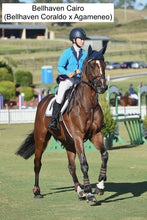 Load image into Gallery viewer, BELLHAVEN CORALDO