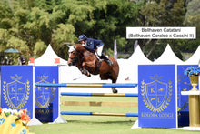 Load image into Gallery viewer, BELLHAVEN CORALDO