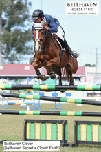 Load image into Gallery viewer, BELLHAVEN SECRET