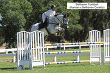 Load image into Gallery viewer, BELLHAVEN CORALDO