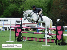 Load image into Gallery viewer, BELLHAVEN CORALDO