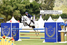 Load image into Gallery viewer, BELLHAVEN CORALDO