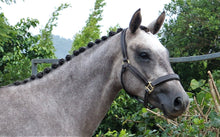 Load image into Gallery viewer, BELLHAVEN TIPTOE