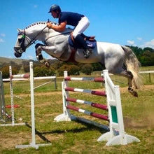 Load image into Gallery viewer, BELLHAVEN CORALDO