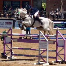 Load image into Gallery viewer, BELLHAVEN CORALDO