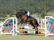 Load image into Gallery viewer, BELLHAVEN DAISY