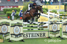 Load image into Gallery viewer, Diamant De Semilly - sire of Bellhaven Diamant.