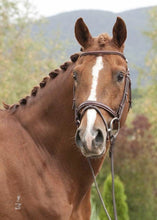 Load image into Gallery viewer, BELLHAVEN SECRET