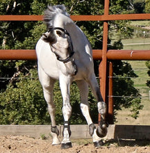Load image into Gallery viewer, BELLHAVEN NULLARBOR