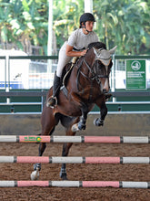 Load image into Gallery viewer, BELLHAVEN DAISY