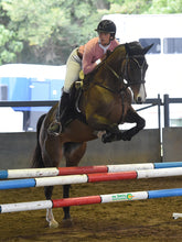 Load image into Gallery viewer, BELLHAVEN DAISY