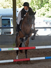 Load image into Gallery viewer, BELLHAVEN DAISY