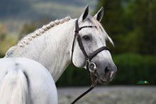 Load image into Gallery viewer, BELLHAVEN CORALDO