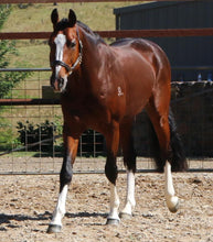 Load image into Gallery viewer, BELLHAVEN TOULON BLUE