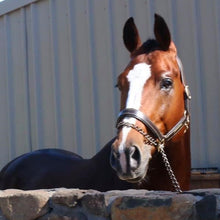 Load image into Gallery viewer, BELLHAVEN TOULON BLUE