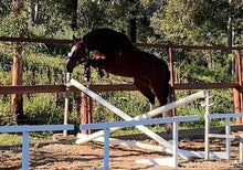 Load image into Gallery viewer, BELLHAVEN TOULON BLUE