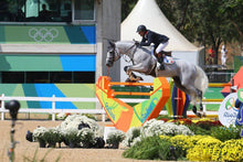 Load image into Gallery viewer, RAHOTEP DE TOSCANE, Team Gold Medalist for France at Rio2016, is the full brother to Darling De Lys/s Dam.