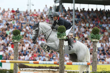 Load image into Gallery viewer, RAHOTEP DE TOSCANE, Team Gold Medalist for France at Rio2016, is the full brother to Darling De Lys/s Dam.