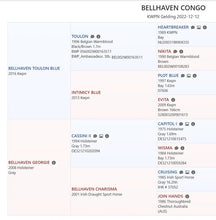 Load image into Gallery viewer, BELLHAVEN CONGO
