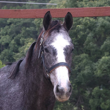 Load image into Gallery viewer, BELLHAVEN NABU
