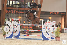 Load image into Gallery viewer, BELLHAVEN NABU
